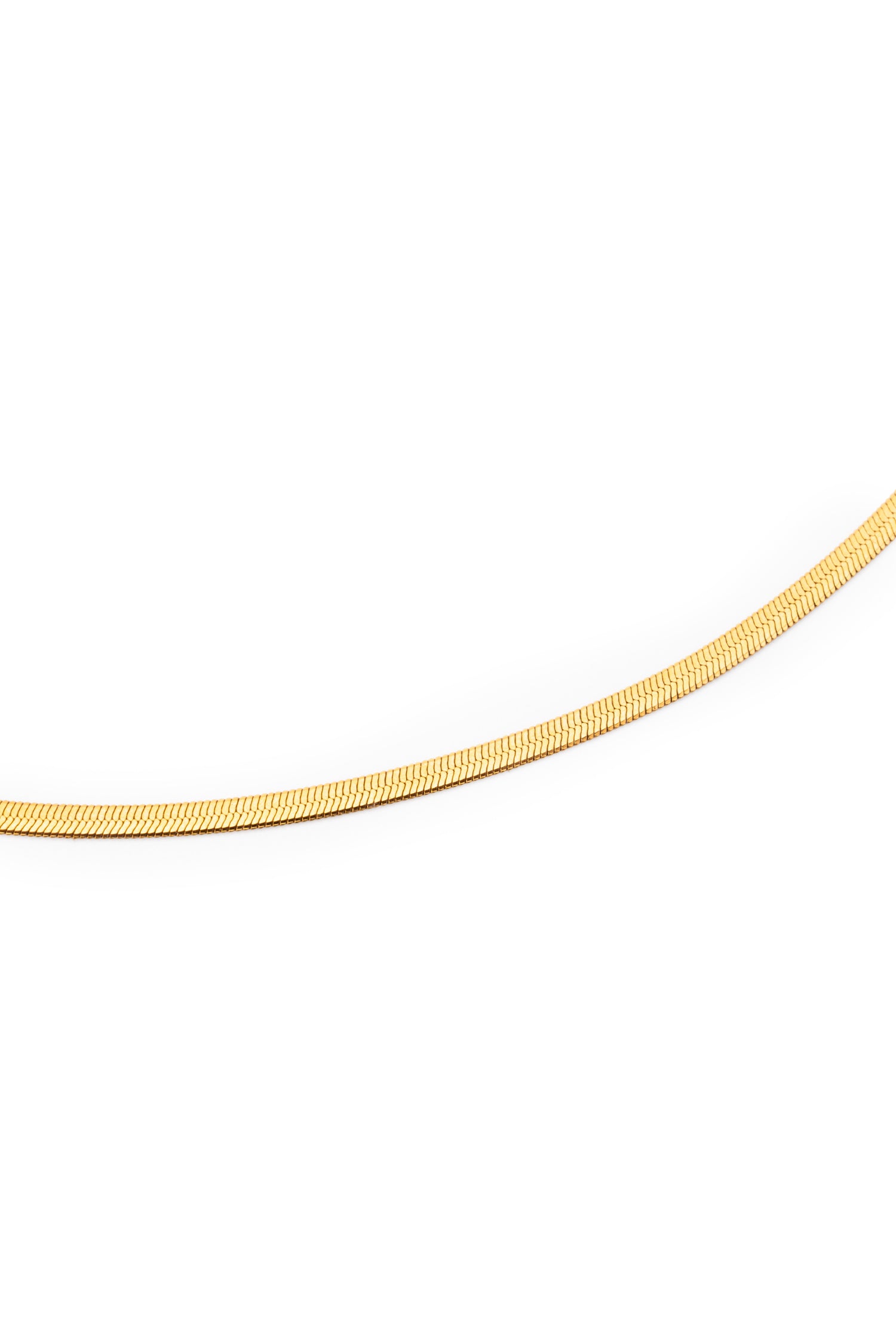 Sundrop Sleekline Chain in Gold - On Model - Waterproof Necklace